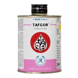 TATA TFOGER