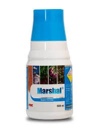 marshal