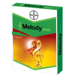 melody deo