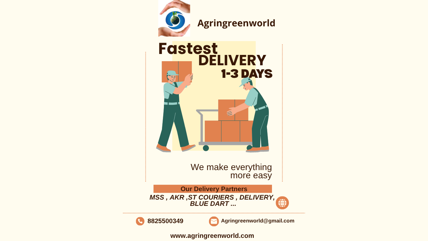 Copy of White And Orange Simple Illustrative Moving Service Poster_20250617_162625_0000