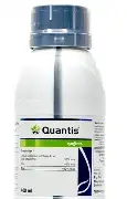 Quantis Syngenta liter