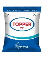 TOPPER 77