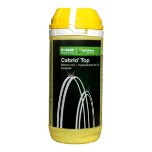 Cabrio® Top