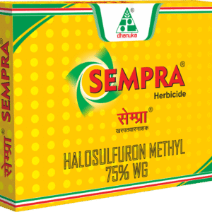 Sempra Dhanuka
