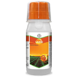 bayer laudis herbicide
