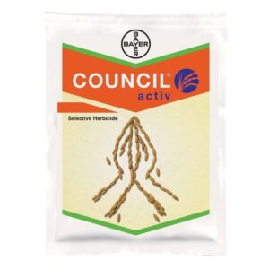 Council Active