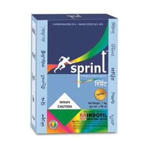 Sprint Mancozeb 50% + Carbendazim 25% WP